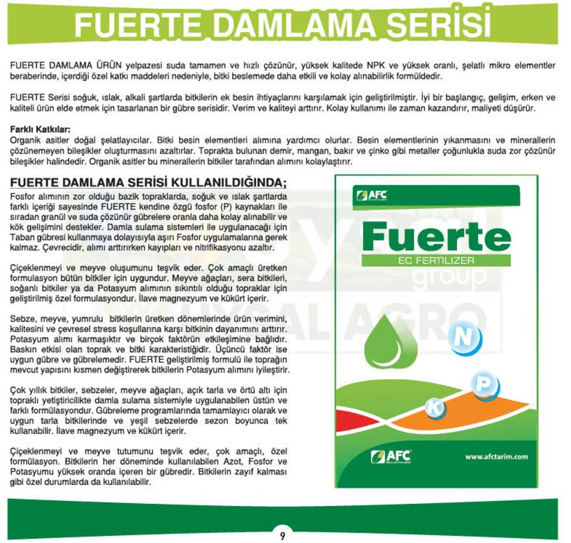 Fuerte-Damlama-Serisi