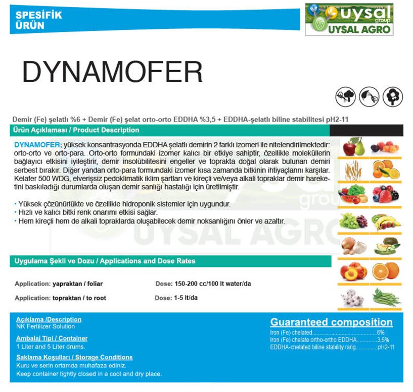 dynomafer