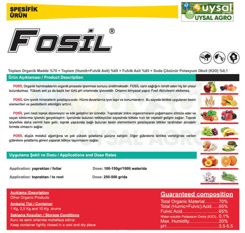 fosil