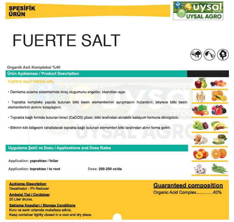 fuerte-salt